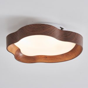 12W irregular shaped ceiling light, supporting three color dimming