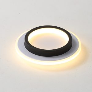 12W double-layer design circular ceiling light